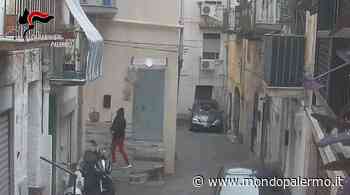 Spaccio tra Monreale e Boccadifalco, tre arresti dei carabinieri nell'operazione “Panaro” - Mondopalermo.it