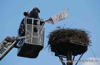 FW Celle: Celler Feuerwehr unterstützt Weißstorchbeauftragten - Jungstörche beringt - Presseportal.de
