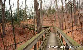 What's happening in Vaughan, Thornhill, King Township and surrounding area (July 8 to 14) - yorkregion.com