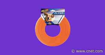 Get My Dog's Favorite Toy for Almost 30% Off Right Now     - CNET