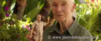 La primatologue Jane Goodall a une poupée Barbie à son effigie