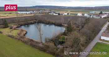 Trebur: Dritte Abstimmung zum Haushalt in Gemeindevertretung - Echo Online