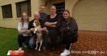 Tenants claim they face eviction for complaining 'too much' - Nine Shows