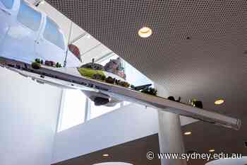 From an arts degree to helping transform Sydney's public spaces - University of Sydney