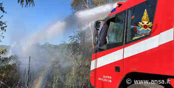 Incendi: vasto fronte al confine Est tra Trieste e Slovenia - Agenzia ANSA