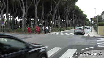 Via Trieste: un semaforo nel nome di Elisa - NoiTV - La vostra televisione