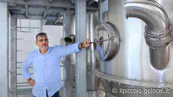 Analisi di laboratorio cliniche e industriali: a Trieste l'impianto del futuro dove si lavora alla seconda vita l'alga rossa - Il Piccolo