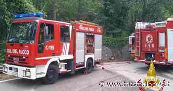Caresana, incendio nel bosco, lungo lavoro per VV.F. Trieste e Muggia - Trieste News