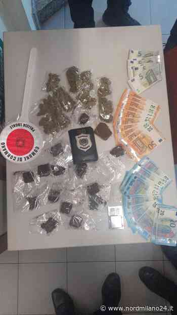 Cormano, nascondeva 215 kg di marijuana e 45 di hashish nel motociclo - Nord Milano 24