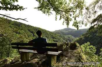 Windrad-Plänen zum Trotz: Naturpark Frankenwald bleibt erhalten - Neue Presse Coburg
