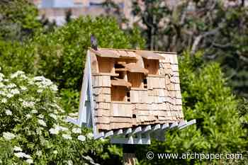 For the Birds explores biodiversity through architecture - The Architect's Newspaper