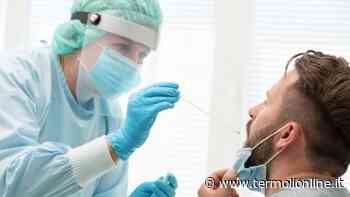 Termoli, Isernia, Campobasso: Covid: nel Molise 539 contagi e 373 guariti - Termoli Online