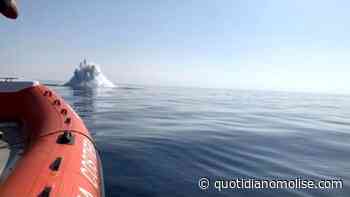 Brillamento ordigni bellici: sub in azione Termoli e Isole Tremiti - Il Quotidiano del Molse