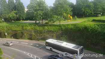 Den Busverkehr billiger machen: Freie Wähler wollen 365-Euro-Jahresticket einführen - Rhein-Zeitung