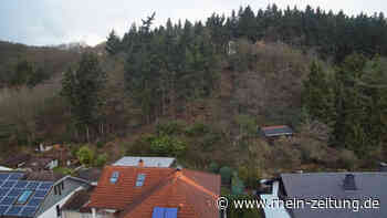 Mendiger Rat entscheidet: Darf oberhalb des Erntewegs gebaut werden? - Rhein-Zeitung