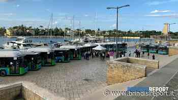 Oltre 12mila i croceristi trasportati dai servizi speciali di Stp Brindisi - BrindisiReport