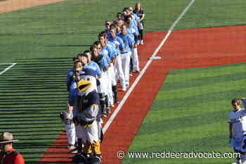 Sylvan Lake Gulls split weekend games - Red Deer Advocate