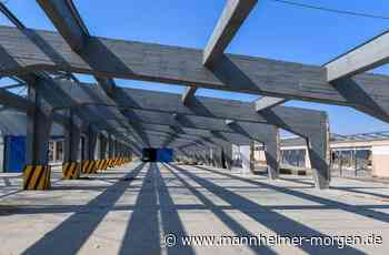 Am Buga-Stand der Stadt Mannheim sollen Besucher Nachhaltigkeit erleben können - Mannheim - Nachrichten und Informationen - Mannheimer Morgen