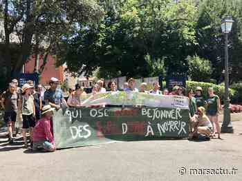 Zone à patates de Pertuis : associatifs et élus écolos manifestent devant la métropole - Marsactu