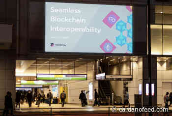 Cryptocurrency Bear Market Opportunities: Cardano (ADA), Solana (SOL), and Degrain (DGRN) - Cardano Feed