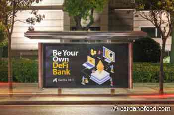 Top Cryptos for Summer 2022: DASH, DOGE, Cardano (ADA) and Gorilix (SILVA) - Cardano Feed