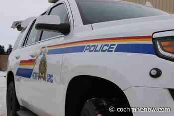 RCMP seek witnesses of a fatal collision - CochraneNow.com