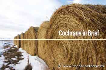 Cochrane Eagle briefs: Danielle Smith coming to Cochrane and Airdrie next week - Cochrane Today