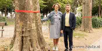 Grüne fürchten wegen U5-Bau um uralte Bäume in Wien - Heute.at