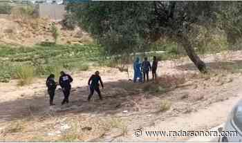 Hallan cuerpo de un hombre en arroyo, de Hermosillo - Radar Sonora