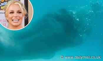 Britney Spears displays her curves in NUDE underwater snaps as she