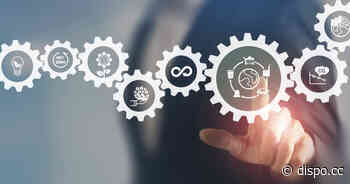 Sechs Schritte zu einem nachhaltigen Lieferketten-Management - Dispo