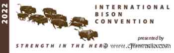 International Bison Convention being held this week in Saskatoon - CJWW