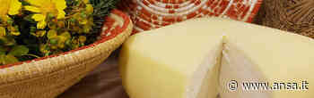 Alimentare: Enna città del formaggio 2022 - Agenzia ANSA