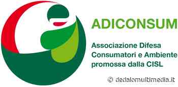 Enna – Adiconsum: Annullamento voli, si può chiedere il rimborso - Dedalomultimedia