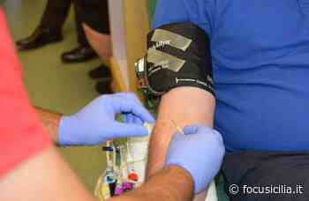 Fratres Catania-Enna-Messina, appello a donare sangue: nel 2022 meno scorte - FocuSicilia
