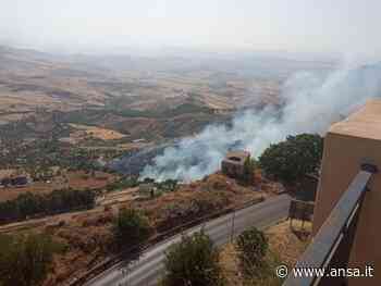 Incendi: fiamme lambiscono centro abitato a Enna - Agenzia ANSA