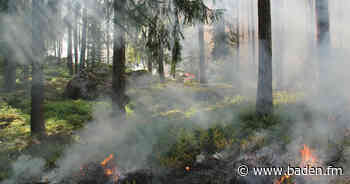 Kreis Emmendingen verbietet Grillen und Feuermachen in Waldnähe - baden.fm