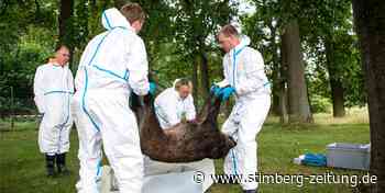 SZ+ Drohne von zwei Waltroper Schülern ist bald über dem Rütgers-Werk im Einsatz - Stimberg Zeitung