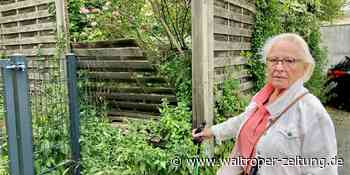 Hausbesitzerin beklagt Vandalismus mitten in Waltrop - Waltroper Zeitung