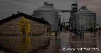 Mission Impossible? Officials Wrangle to Free Ukraine’s Grains