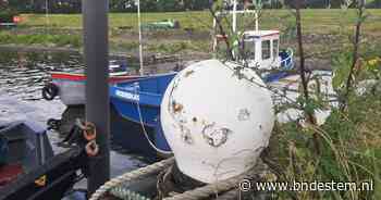 Dorpshaven Moerdijk vanaf 2024 aanlegplaats voor cruiseschepen: 'Zulke kansen moet je grijpen' - BN DeStem