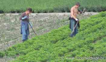 Zeventien initiatieven bij gemeente Moerdijk ingediend voor huisvesting arbeidsmigranten - Internetbode