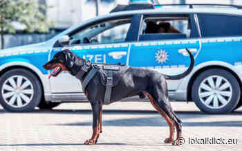 Polizei schützt Obdachlosen – zwei Männer mit Hilfe von "Hawk" in Gewahrsam genommen - Lokalklick.eu - Online-Zeitung Rhein-Ruhr