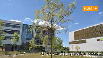 Am Technologiezentrum wird die Natur nachgebessert