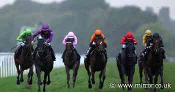 Newsboy's racing tips from Monday meetings at Ayr, Ffos Las, Newton Abbot, Windsor and Wolverhampton - The Mirror