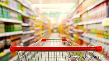 Mega arriva a Vigonza con una nuova apertura - PadovaOggi