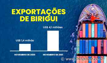 Birigui bate recorde de exportações e movimenta mais de US$ 4 milhões em novembro - Prefeitura de Birigui (.gov)