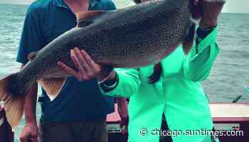 Chicago fishing, Midwest Fishing Report: Bowfin, drum, carp, crappie, bluegill, perch, bass, kings - Chicago Sun-Times