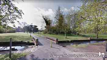 Sutton fears for safety after birds shot dead with air rifle at park