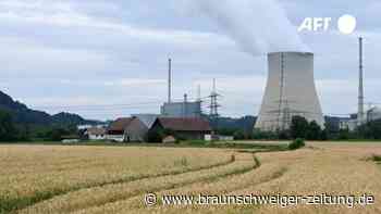 Energiekrise: Könnten Atomkraftwerke die Lösung sein?